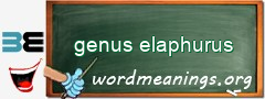 WordMeaning blackboard for genus elaphurus